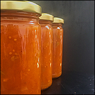 Patterson Apricot & Lemon Chutney